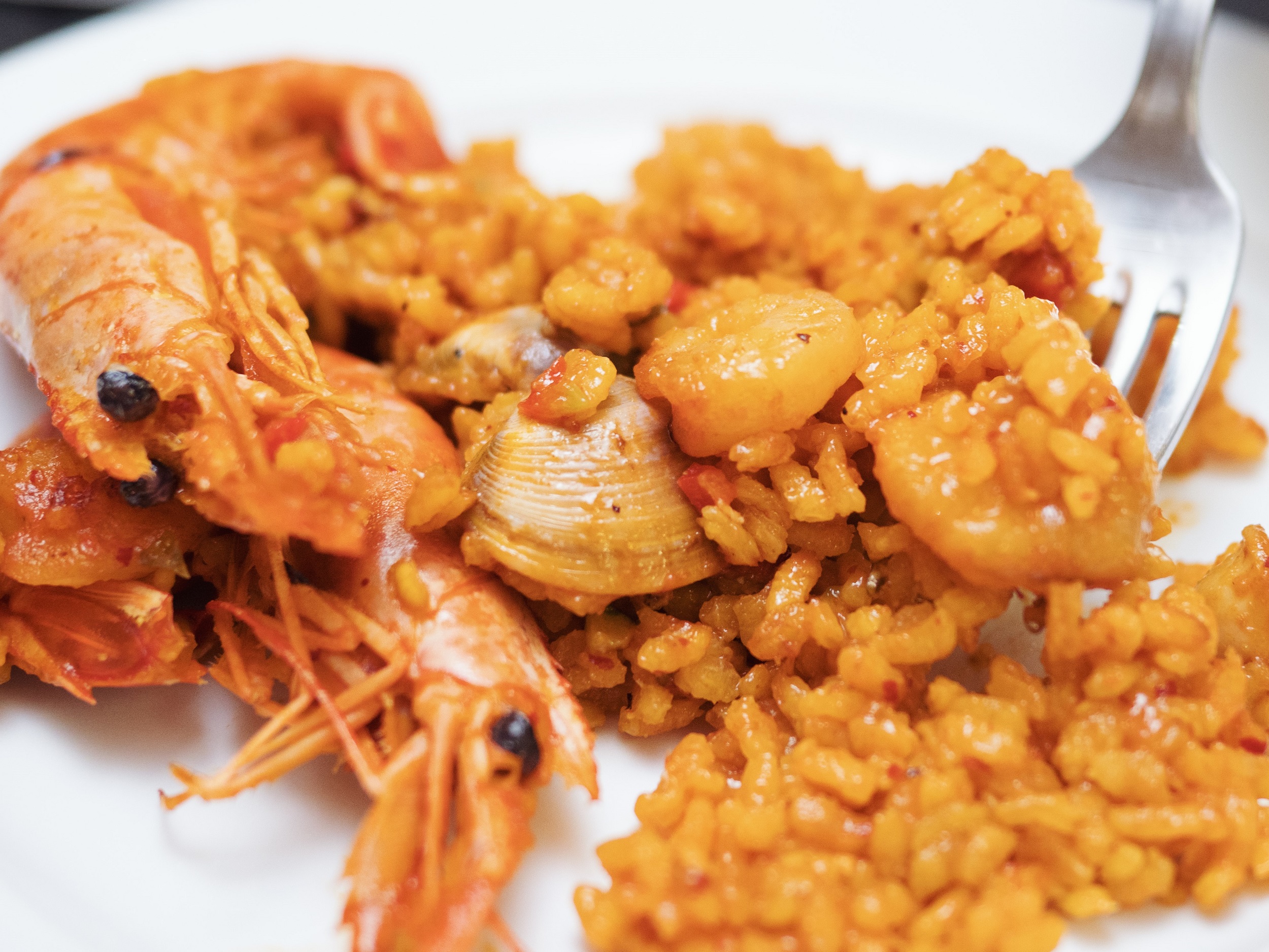 Plato de arroz en Caroba restaurante en Valladolid